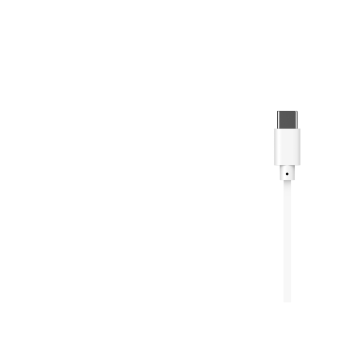 Ecouteurs E336C USB-C - Blanc - Havit