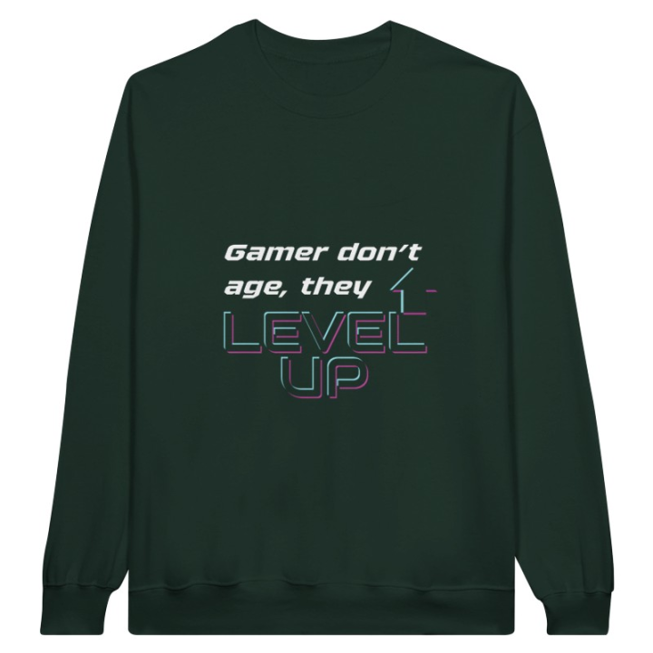 Pull gaming drôle, phrase humour jeu vidéo level up à manches longues